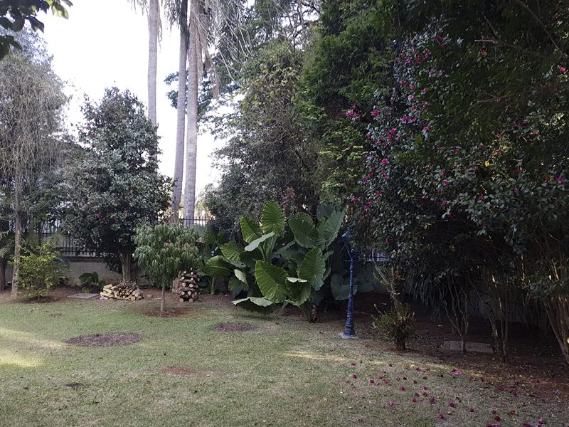 Montan Senior Jardim